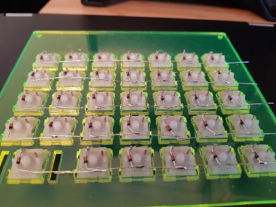 The underside of an acrylic plate for a custom mechanical keyboard showing the underside of the switches with diodes soldered to them, connecting the rows.