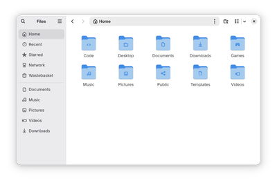 Screenshot of GNOME
files with custom icons for non-standard folders
